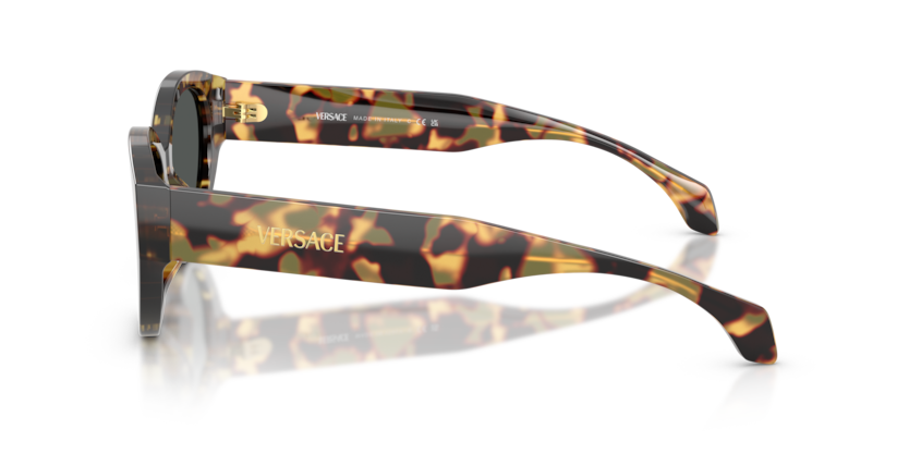 Brown Yellow Havana - 0VE4495D 8056262448434