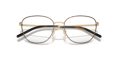 Top Havana/Pale Gold - 0VO4231 8056597949040