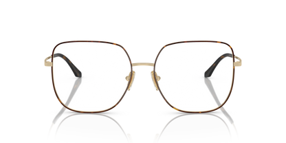 Top Havana/Pale Gold - 0VO4238D 8056597935425