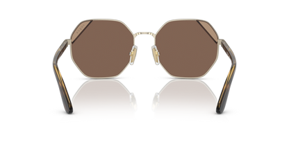 Pale Gold - 0VO4268S 8056597815611