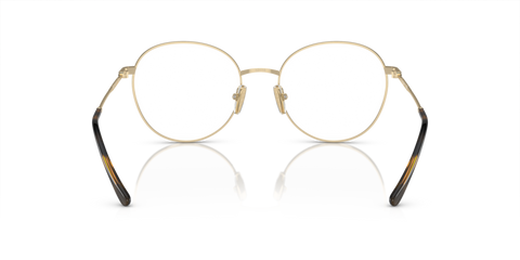 Top Havana/Pale Gold - 0VO4280 8056597926010