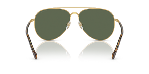 Gold - 0VO4290S 8056597933261