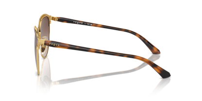 Top Havana/Gold - 0VO4303S 8056262018439