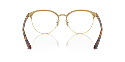 Top Havana/Gold - 0VO4305 8056262018361