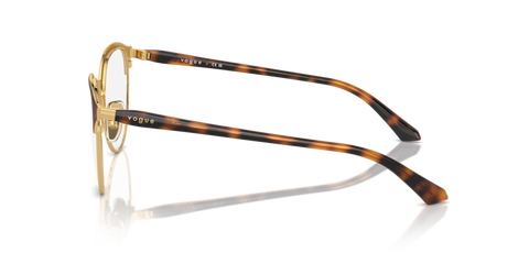 Top Havana/Gold - 0VO4305 8056262018361