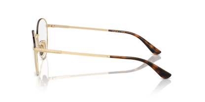 Pale Gold/Top Havana - 0VO4306 8056262006412