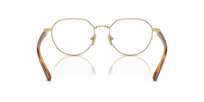 Pale Gold - 0VO4311B 8056262007228