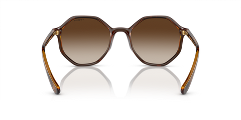 Top Havana/ Brown Transparent - 0VO5222S 8053672911435