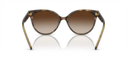 Dark Havana - 0VO5246S 8053672968378