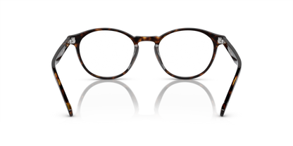 Dark Havana - 0VO5326 8056597208420