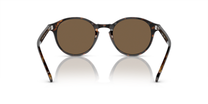 Dark Havana - 0VO5327S 8056597209182