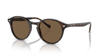 Dark Havana - 0VO5327S 8056597209182