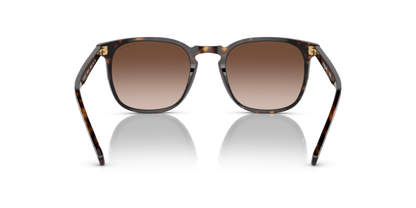 Dark Havana - 0VO5328S 8056597209243