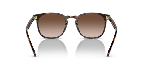 Dark Havana - 0VO5328S 8056597209243
