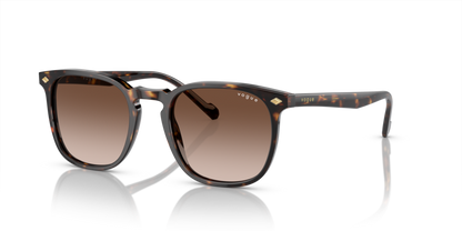 Dark Havana - 0VO5328S 8056597209243