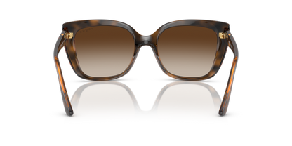 Dark Havana - 0VO5337S 8056597238007