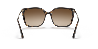 Dark Havana - 0VO5353S 8056597339353