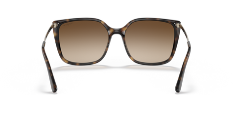 Dark Havana - 0VO5353S 8056597339353