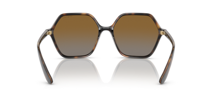 Dark Havana - 0VO5361S 8056597546294