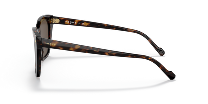 Dark Havana - 0VO5380S 8056597420204