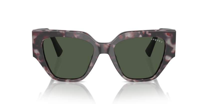 Grey Tortoise - 0VO5409S 8056262019160