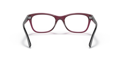 Transparent Dark Cherry - 0VO5424B 8056597604222