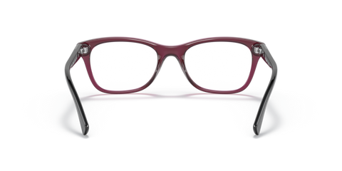 Transparent Dark Cherry - 0VO5424B 8056597604222