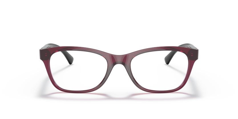 Transparent Dark Cherry - 0VO5424B 8056597604222