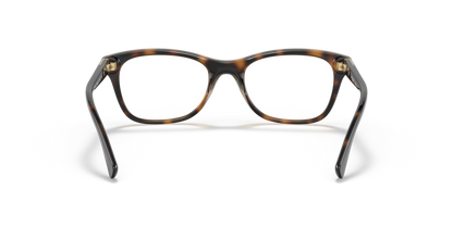 Dark Havana - 0VO5424B 8056597604253