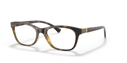 Dark Havana - 0VO5424B 8056597604253