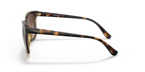 Dark Havana - 0VO5426S 8056597604017