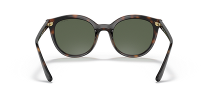 Dark Havana - 0VO5427S 8056597603980