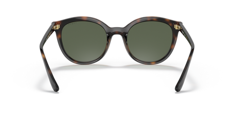 Dark Havana - 0VO5427S 8056597603980