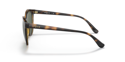 Dark Havana - 0VO5427S 8056597603980