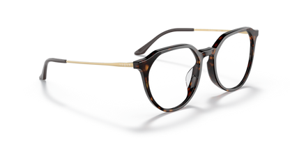 Dark Havana - 0VO5430D 8056597589512