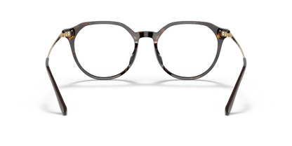 Dark Havana - 0VO5430D 8056597589512