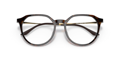 Dark Havana - 0VO5430D 8056597589512