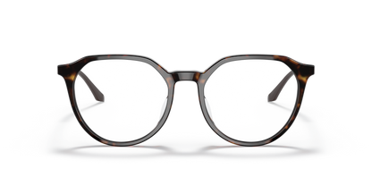 Dark Havana - 0VO5430D 8056597589512