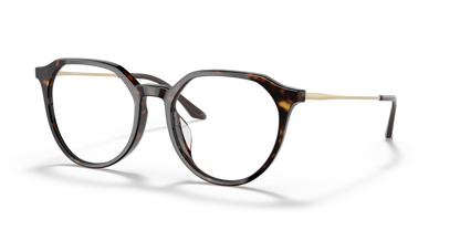 Dark Havana - 0VO5430D 8056597589512