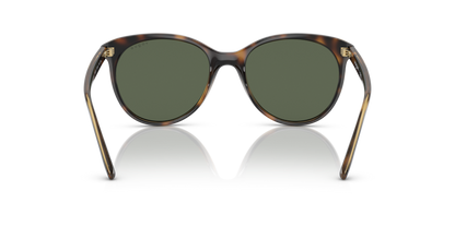 Dark Havana - 0VO5453S 8056597707930