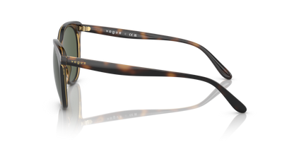 Dark Havana - 0VO5453S 8056597707930