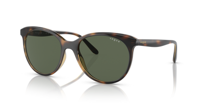 Dark Havana - 0VO5453S 8056597707930