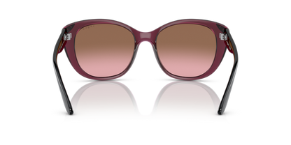 Transparent Cherry - 0VO5457S 8056597738156