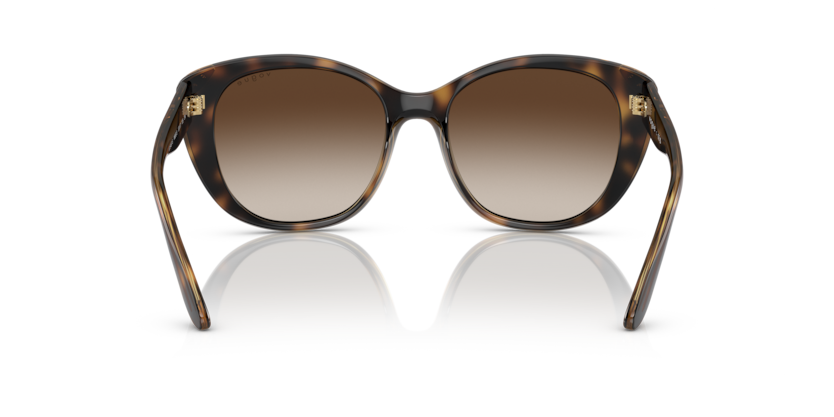 Dark Havana - 0VO5457S 8056597738170