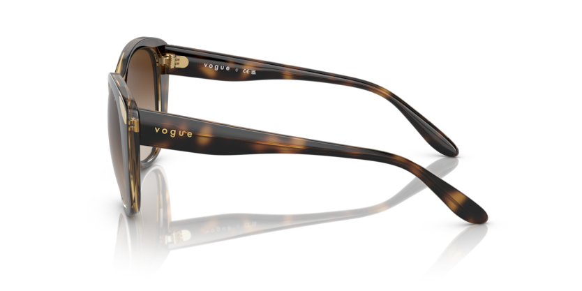 Dark Havana - 0VO5457S 8056597738170