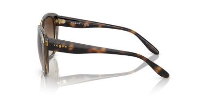 Dark Havana - 0VO5457S 8056597738170