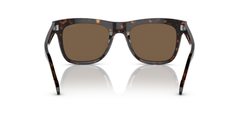 Dark Havana - 0VO5465S 8056597705806