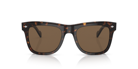 Dark Havana - 0VO5465S 8056597705806