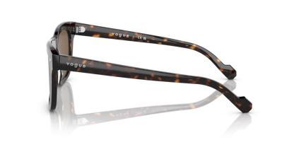 Dark Havana - 0VO5465S 8056597705806
