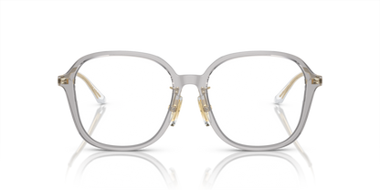 Transparent Grey - 0VO5467D 8056597935418